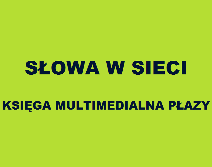 SOWA W SIECI - KSIGA MULTIMEDIALNA PAZY