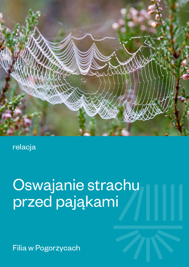 Oswajanie strzchu przed pająkami - Pogorzyce - relacja