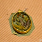 Biżuteria z żywicy epoksydowej zawiera suszone kwiaty i liście, zamknięte pod przezroczystą powłoką.