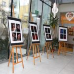 Wystawa fotografii w ramach umieszczonych na drewnianych stelażach, ustawiona przed oknami z widokiem na ogród.