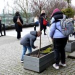 Dziecko pochyla się nad doniczką z młodym drzewkiem, prawdopodobnie szukając ukrytego jajka wielkanocnego.