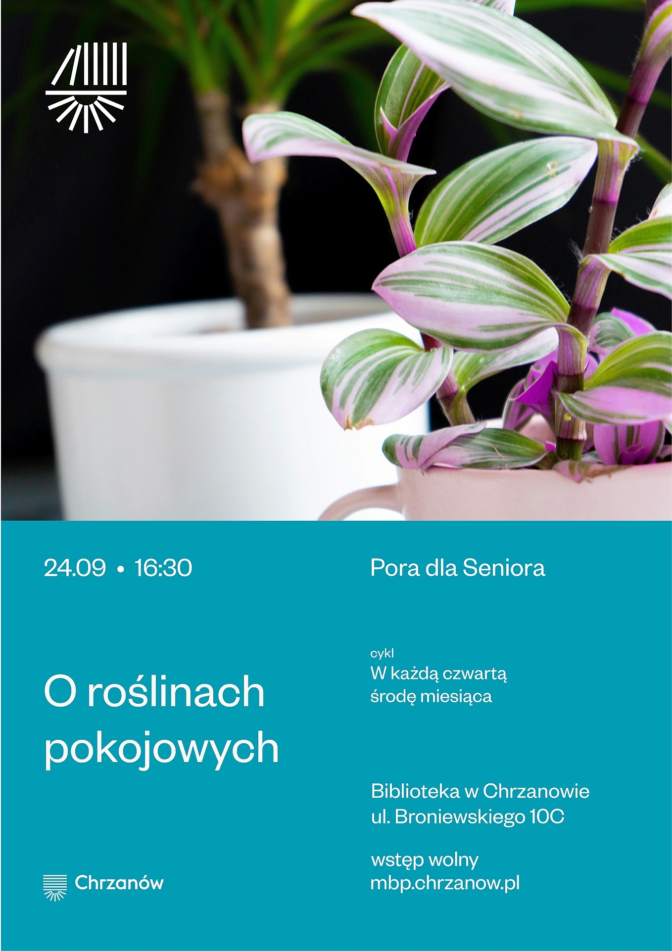 W doniczce stoi roślina ozdobna, a obok widnieje informacja o spotkaniu dla seniorów poświęconym roślinom pokojowym.